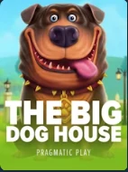 The Big Dog House